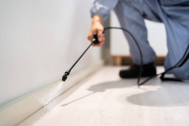 Licensed Mosquito Control service in Linden, NJ - Show Me Pest Control