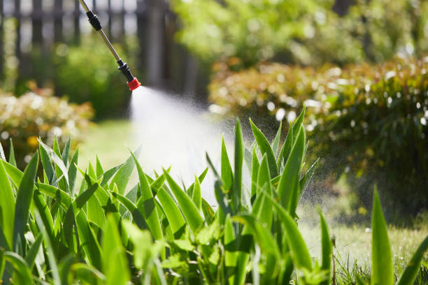 24/7 Emergency Mosquito Control experts in Linden, NJ