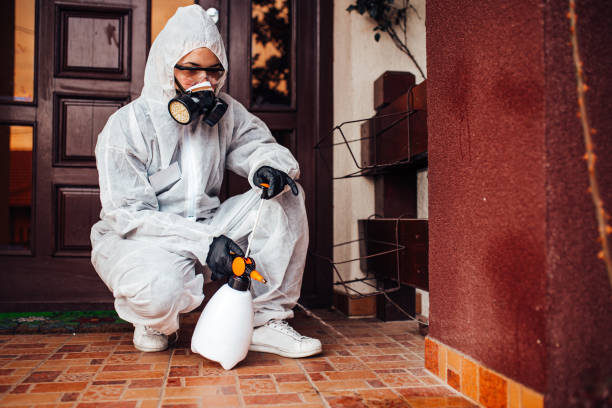 Reliable Mosquito Control contractor in Linden, NJ by Show Me Pest Control