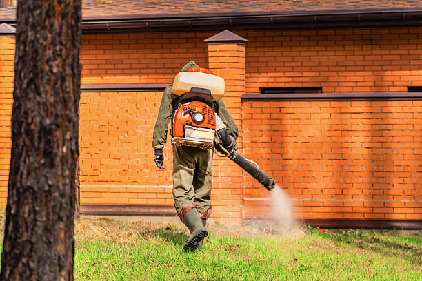Top rated local Mosquito Control specialists in Linden, NJ